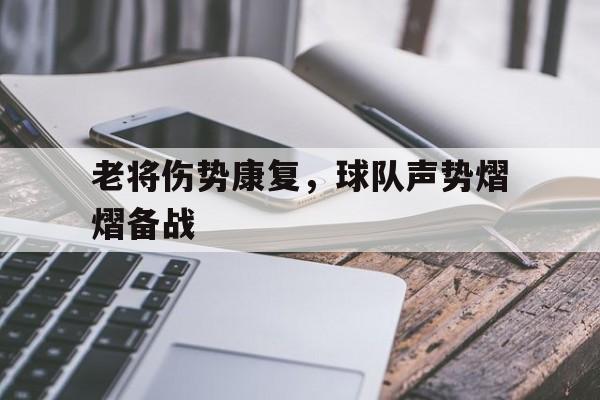 LDSports中国-老将伤势康复，球队声势熠熠备战